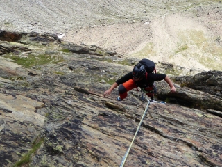 Jägihorn Alpendurst