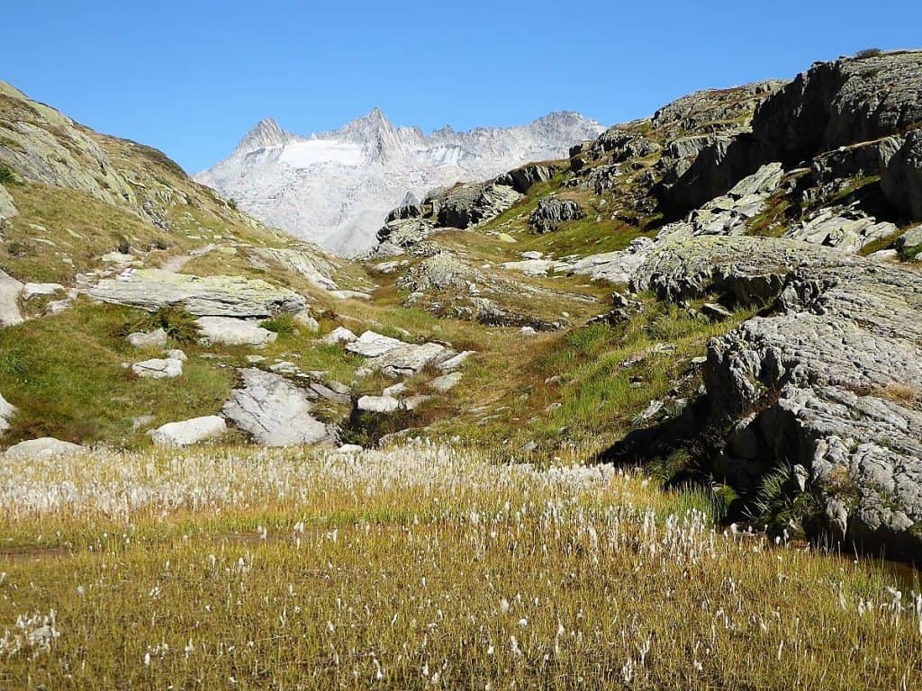 Projekt-Woche Alpenlernen Bächlitalhütte Bächlisboden 1