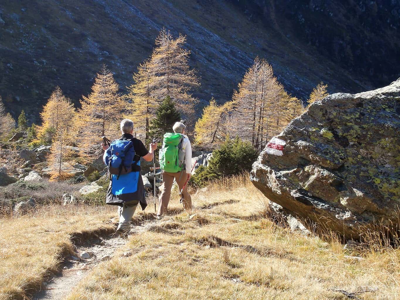Trekking Bortelhütte-Veglia 4